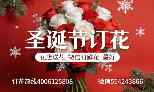 揭阳榕城区花店送花_微信订鲜花_圣诞节订花_最好? 揭阳榕城区花店